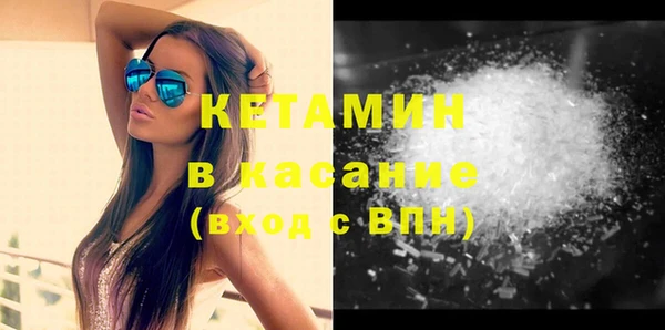 шишки Беломорск