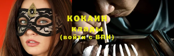 шишки Беломорск