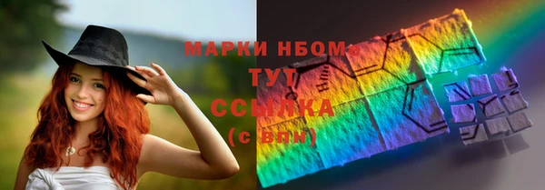 шишки Беломорск