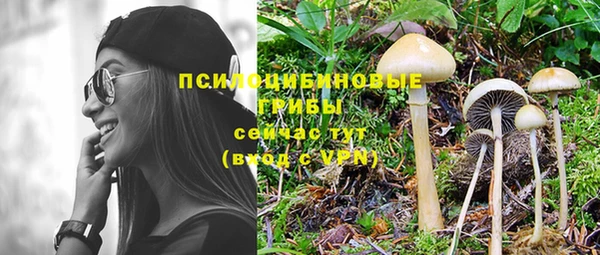 шишки Беломорск
