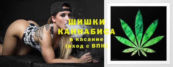 шишки Беломорск