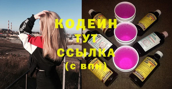 шишки Беломорск