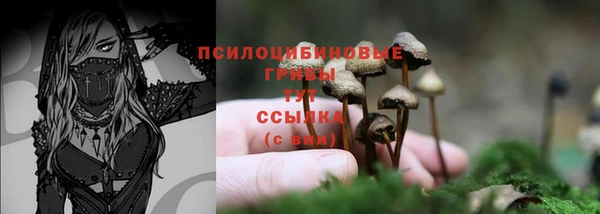 СК Белоозёрский