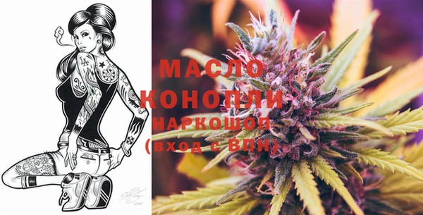 шишки Беломорск