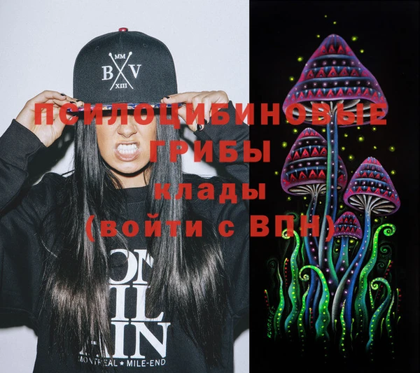 амф Белокуриха