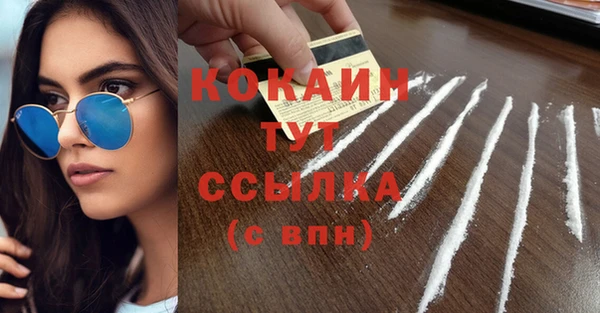 шишки Беломорск