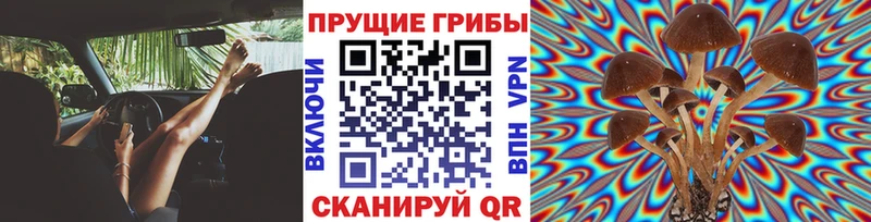 mega ссылки  Малмыж  Галлюциногенные грибы прущие грибы  цена  